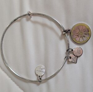 Alex and Ani Silver Bracelet with Pink and Gold Charm